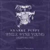 Snarky Puppy - While We're Young (Extended) - Single